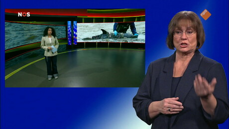 NOS Jeugdjournaal met gebarentaal